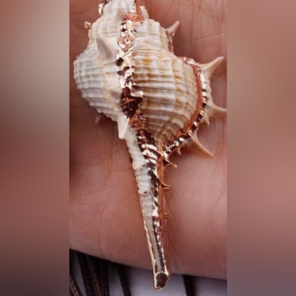 Spiny Murex~ Echinate Spiky Conch Shell Mermaid Beach Ocean Gold Dipped Necklace - Picture 16 of 16
